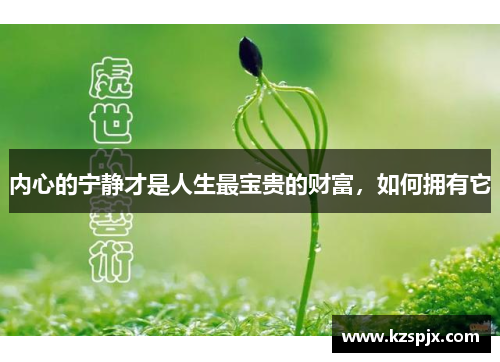 内心的宁静才是人生最宝贵的财富,如何拥有它 内心的宁静才是人生最宝贵的财富,如何拥有它