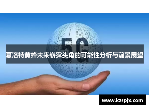 夏洛特黄蜂未来崭露头角的可能性分析与前景展望